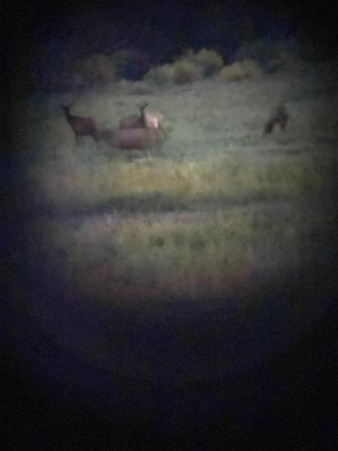 IMG-20240906-WA0049